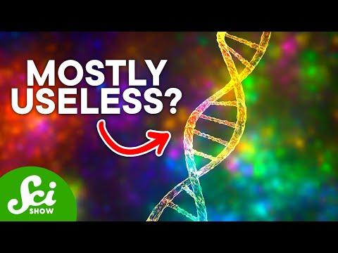ვიდეო: შეგიძლიათ მიიღოთ დნმ ამოყრისგან?