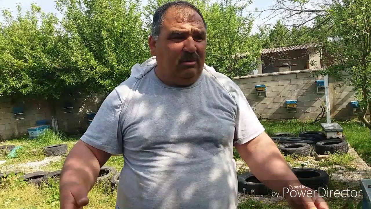 Пчелни майки sevdat yakub 17