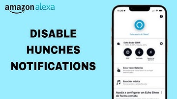How To Disable Hunches Notifications On Amazon Alexa App