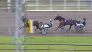 Vidéo de la course PMU PRIX HALL MEDIAS STOLOPP