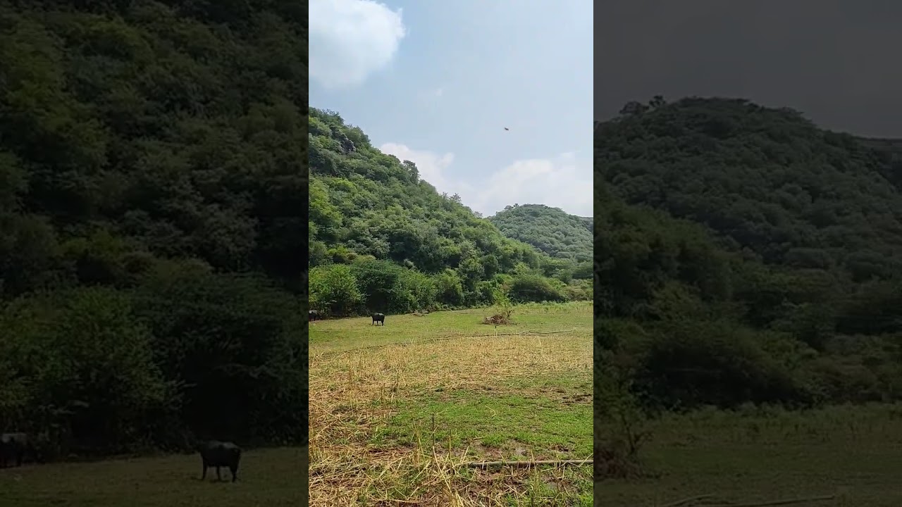 Explore the World largest hill range Aravalli Hills 