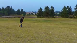 Indie - 8 Months - 7 Bumper Lining Drill