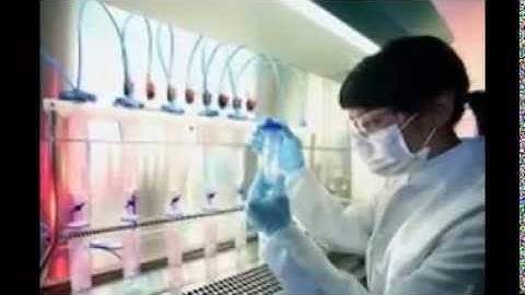 Biotechnology Assignment Help