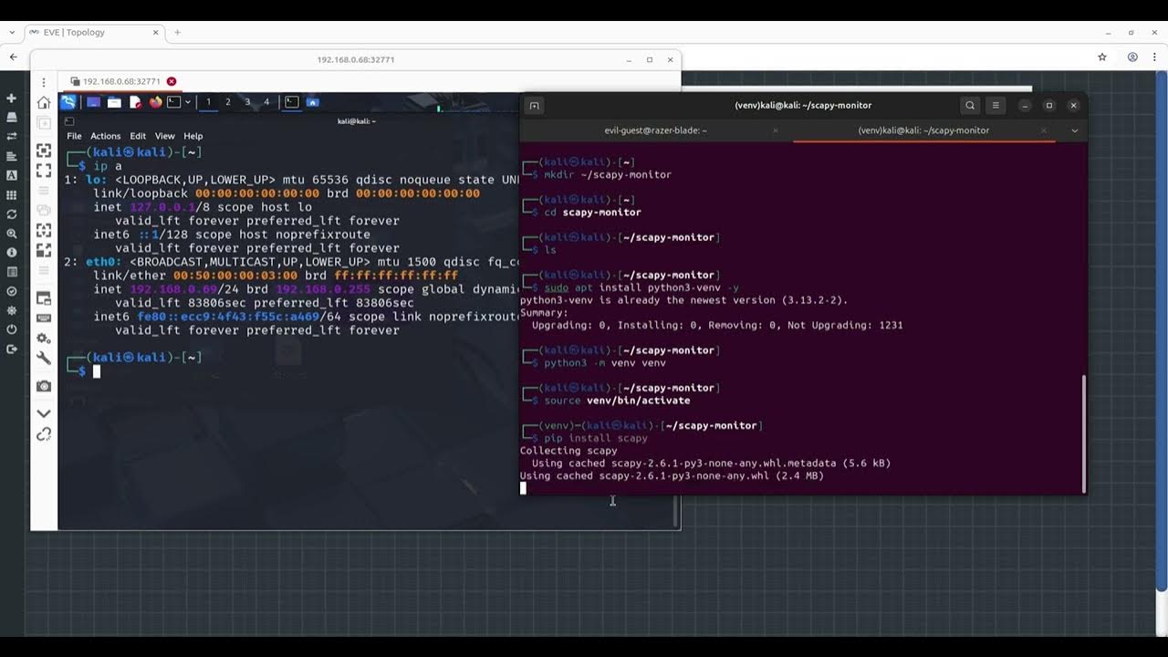 Real-Time Network Traffic Monitor with Scapy & Python | PenTesting Tool ...
