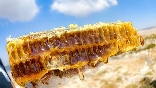 Kings Of Queens: Behind the Scenes Tour by JAR Honey at 2100 Meters with Johnny