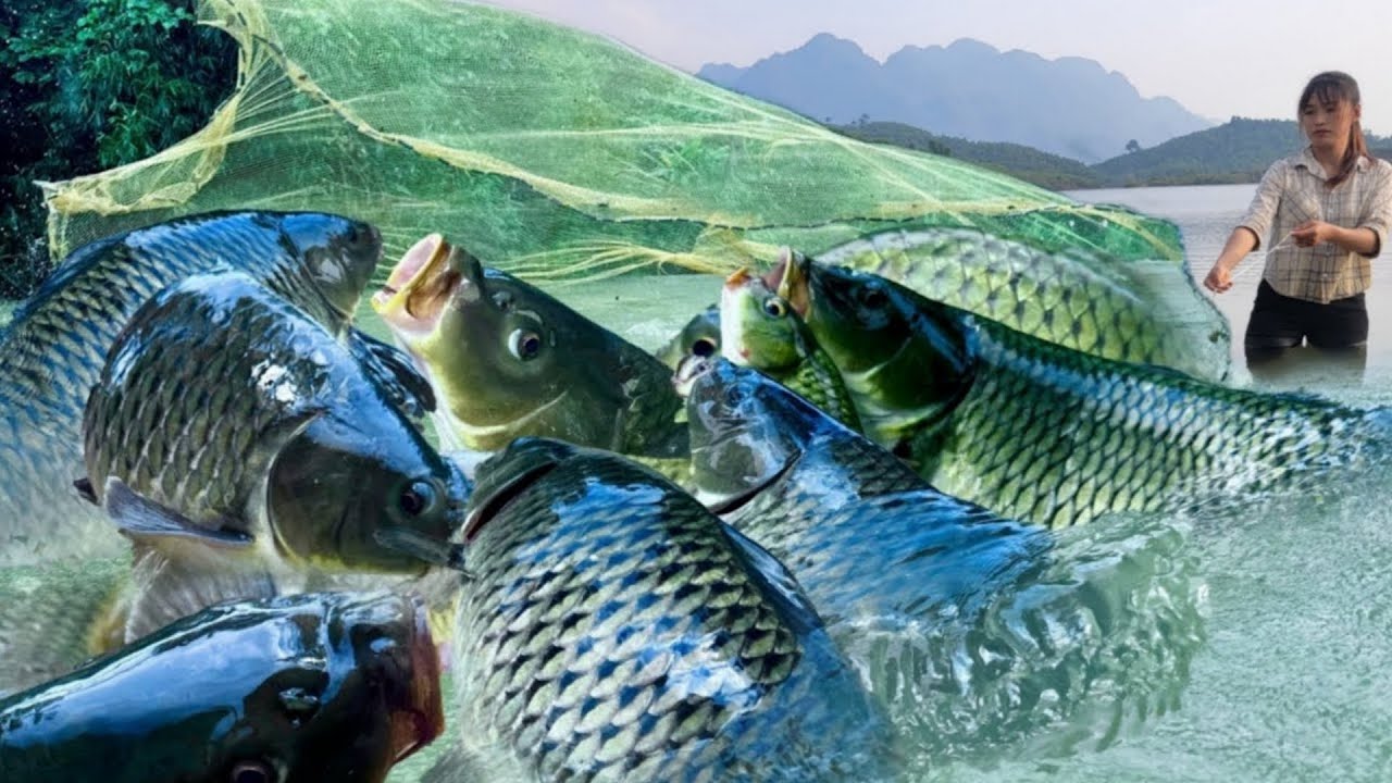 FULL VIDEO Traditional Fishing Skills - 120 Days Single Mother Catches Giant Fish