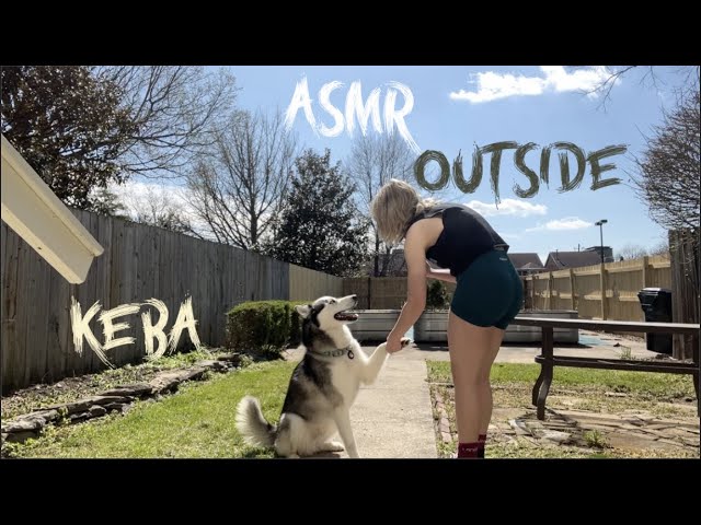 hanging outside on a spring day Lofi asmr 🌸 ~ playing fetch, sun bathing, personal attention  🤍