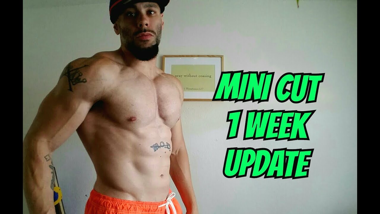Mini Cut (Micro Cut) 1 Week Update - YouTube