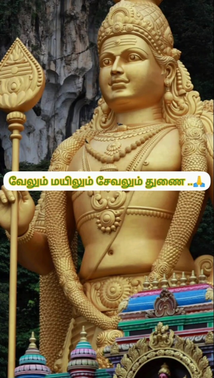 🤞வாழ்த்துக்களுடன் நம்பிக்கை செய்தி🙏 - ShareChat