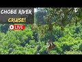 Live Chat: Chobe River Cruise