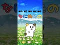 learn hiragana🌷😽