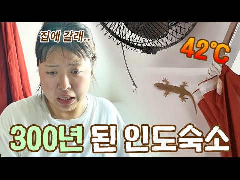 42℃인데 계속 정전되는 300년된 대환장 숙소; [ 인도여행 EP6 ]