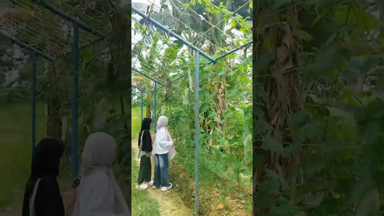 Favorite Healing Places in Batam