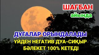 :    100% ,   -   