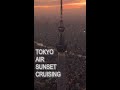 TOKYO AIR SUNSET CRUISING