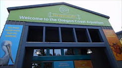 A visit to the Oregon Coast Aquarium in Newport Oregon!