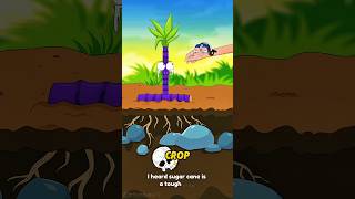 Why Your Sugarcane Isn't Growing! 🌾❌ #shorts #animation