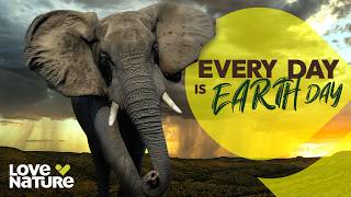 Every Day is Earth Day
