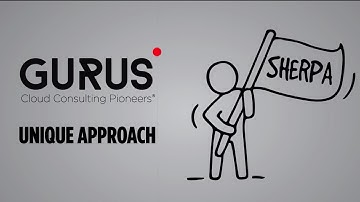 What to Look for in a NetSuite Implementation Partner: The GURUS Approach