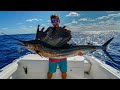 Why NOBODY Eats this FISH- Catch Clean Cook -Sailfish (Kola Fish)