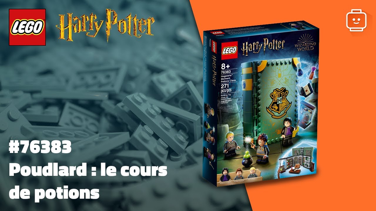 Les cours de Poudlard Lego Livre Harry Potter Hogwarts Moments