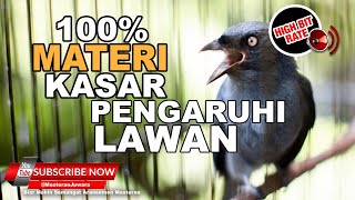 🔴 Masteran Burung JUARA❗️Srigunting Abu Abu Gacor Full Materi Tembakan Kasar Pengaruhi Mental Lawan