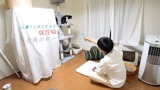 僕にビビりまくる保護猫の体重を計る嵐の夜｜３〜４日目【里親さん探し】