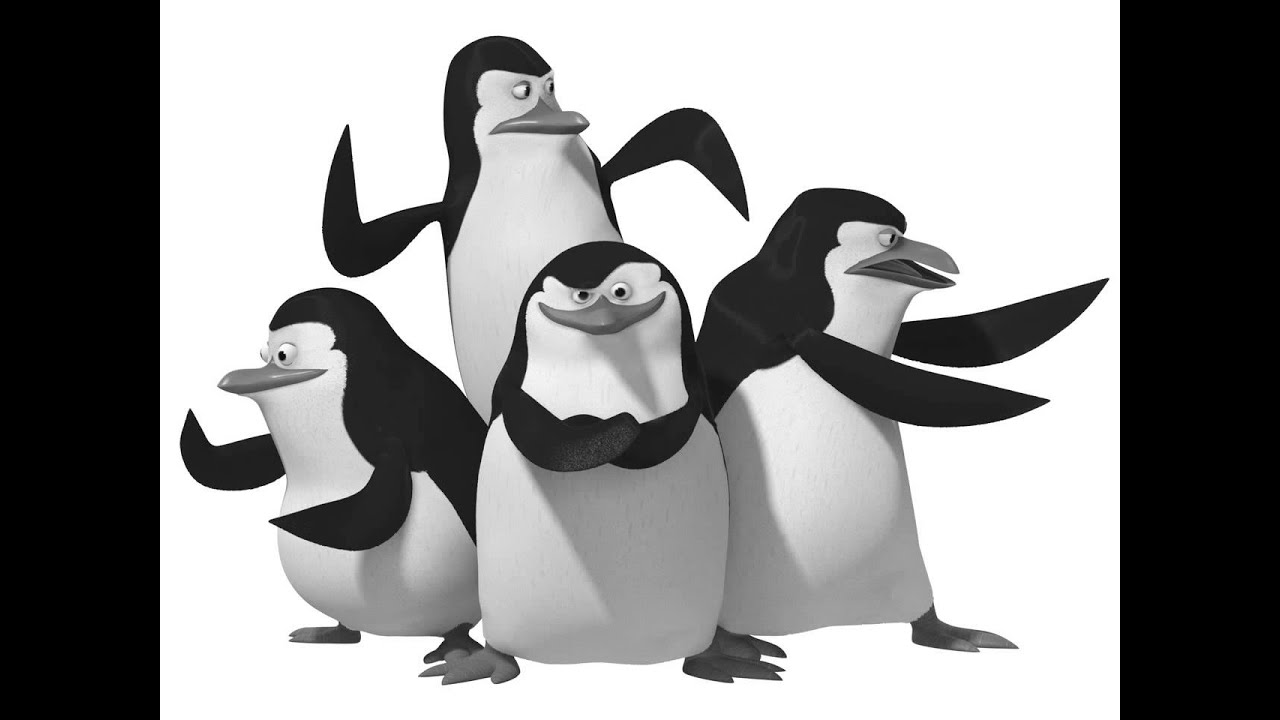 Black and White Penguins of Madagascar - YouTube