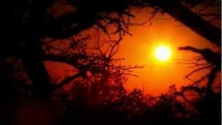 The Deveron Manuscript - Official Book Trailer