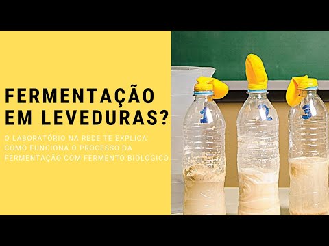 Vídeo: O fermento de pão produz álcool?