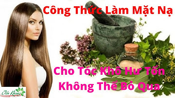 Chia Sẻ 5 Công Thức Làm Mặt Nạ Cho Tóc Khô Hư Tổn Không Thể Bỏ Qua