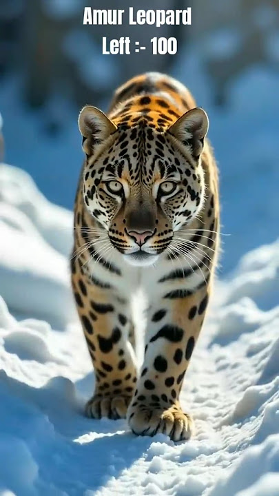 6 Animals You Might Never See Again – Endangered Species Countdown #shorts #endangeredspecies
