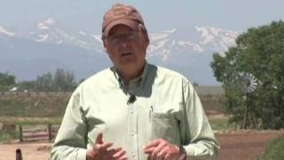 Dairy - Education (BQA)