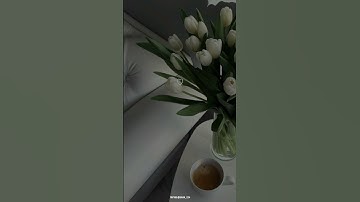 قال ربي أشرح لي صدري||شريف مصطفى سورة طه| سبحان من جعل في صوته راحة 😌🌱