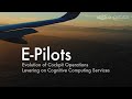E-PILOTS progress after two years