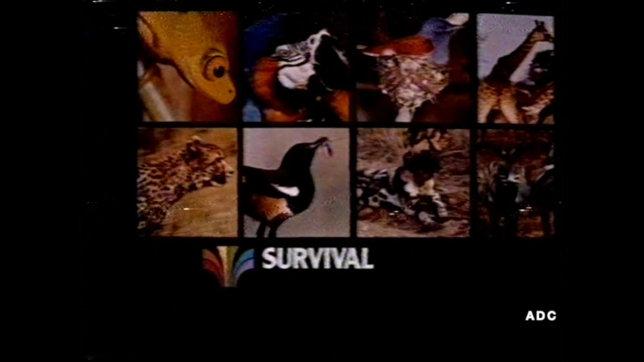 TVS - link into Getting On Joyce Carey part 2nd May 1982