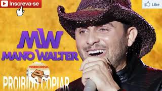 PLAYBOY FAZENDEIRO - MANO WALTER