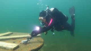 Scuba Dive Lady Of The Pond Hathaways Pond Cape Cod