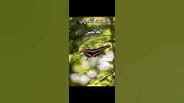 اصبحنا واصبح الملك لله/أذكار الصباح #اذكار_الصباح