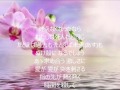 愛の岸辺 唄 山口かおる cover 太陽と月