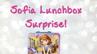 Sofia the First Lunch Box Surprise with My Little Pony,  Disney Blind Bag Foam Key Chains, Shopkins