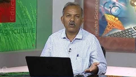 Medium Access Control (MAC) Protocols