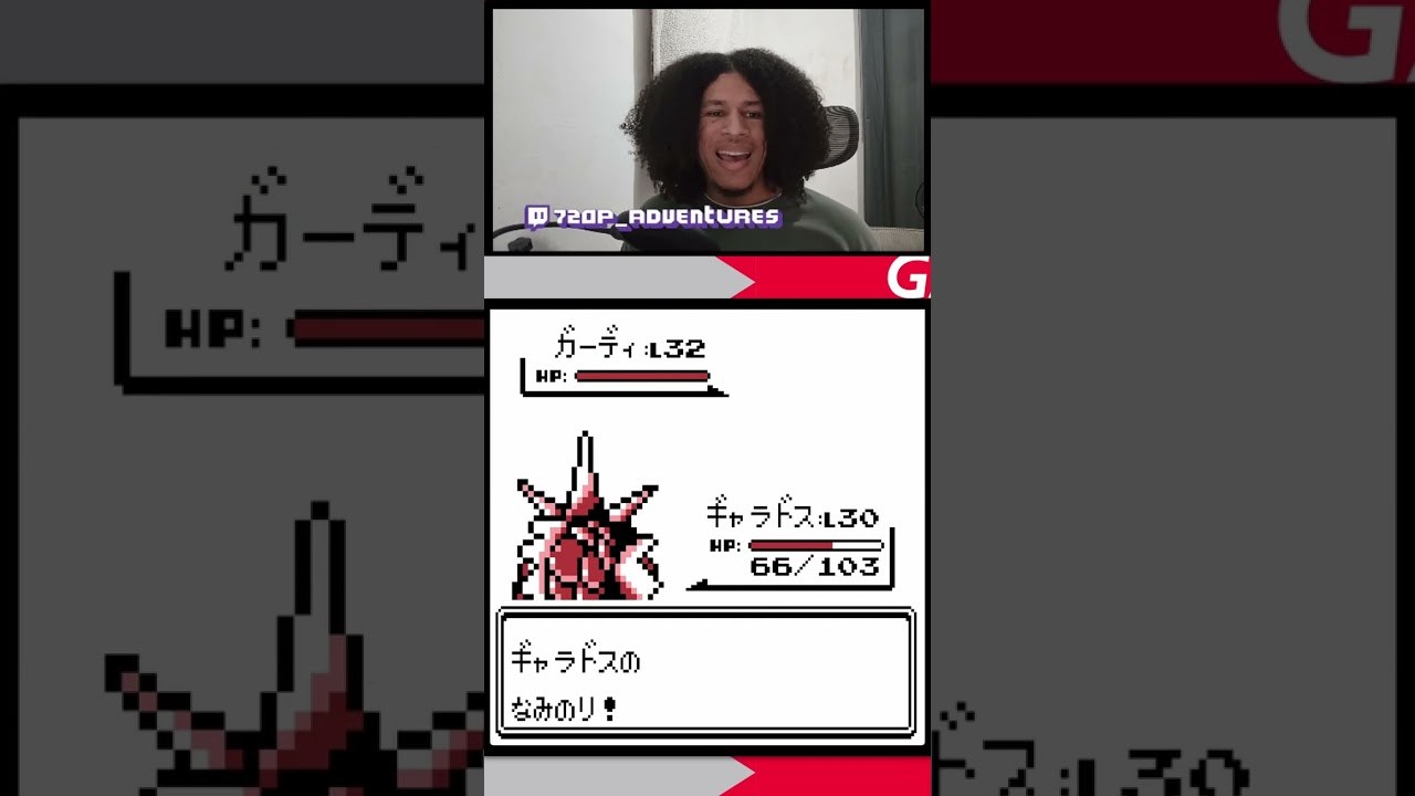 Burglars Don't Care For Battle - Pokémon Red | 