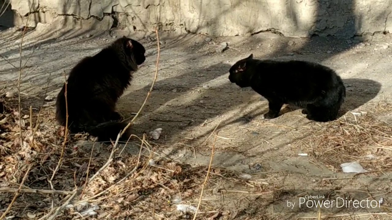 Hgh Frag �� ������� ��������������: ����.