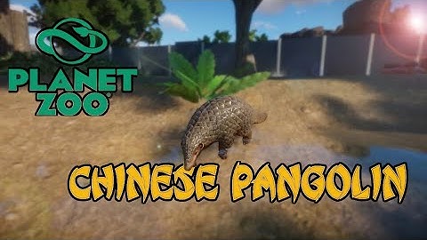 Planet Zoo - Chinese Pangolin Habitat 🌴 - Speed Build