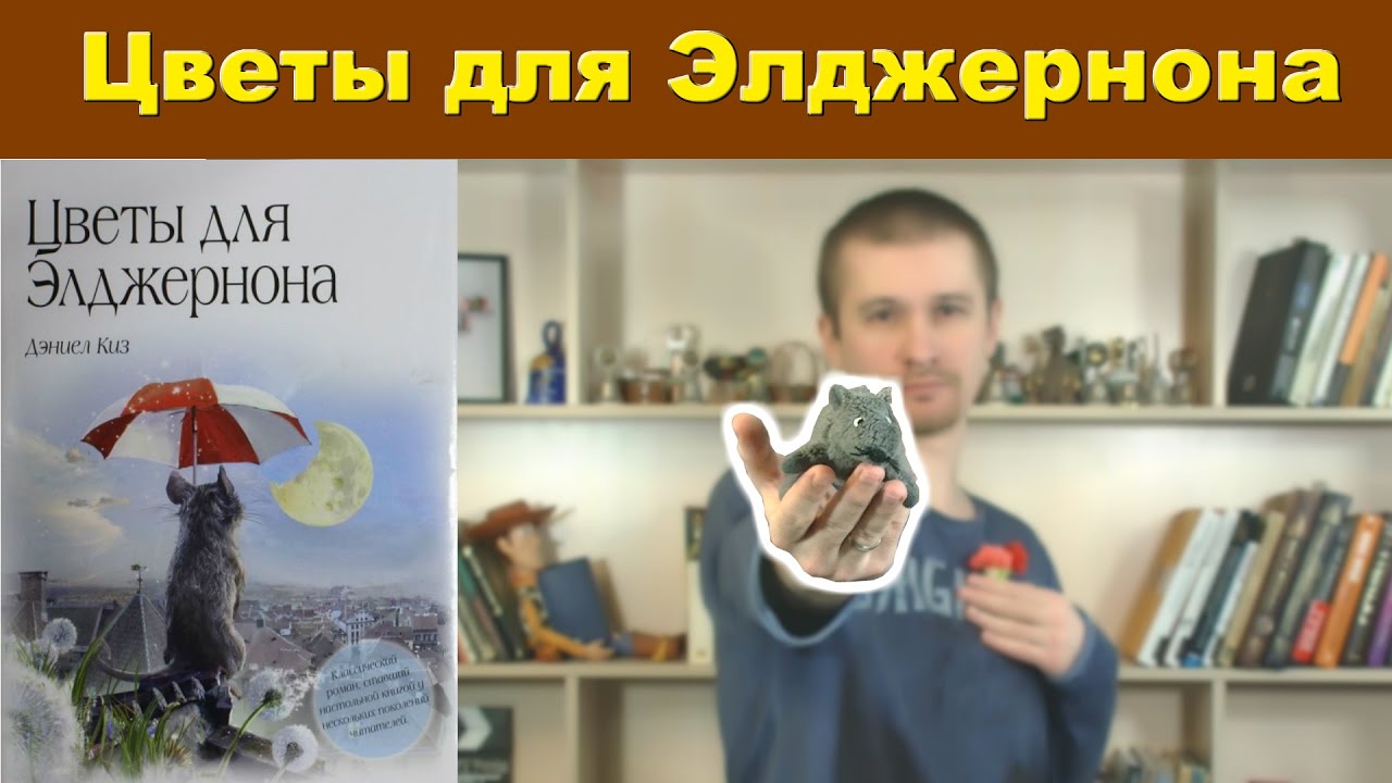 Книга дневник дейла купера читать