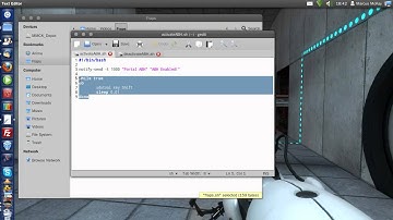 Getting Portal ABH to work in Ubuntu (or any Linux)