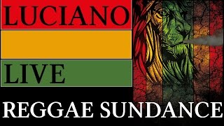 Luciano Live at Reggae Sundance 2014 Holland