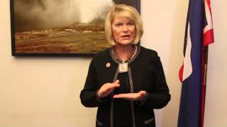Cattle Calll Why Wyoming Fights Obamacare