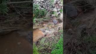 Укрепляем овраг подпорными стенами сухой кладкой из бута